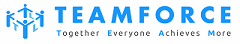 Senior Engineer Logo