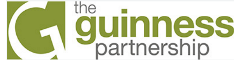 Senior Systems Developer Logo