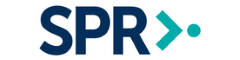 Senior Business Analyst Logo