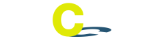 Data Analyst Logo